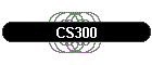 CS300