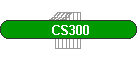 CS300
