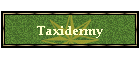 Taxidermy