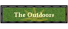 The Outdoors