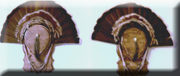 double.jpg (29386 bytes)