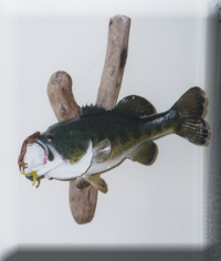 fishone.jpg (19545 bytes)