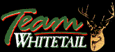 logosmall copy.bmp (12784 bytes)