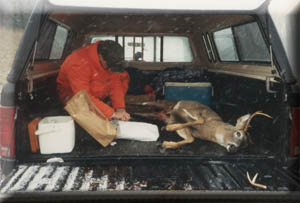 medeertruck.jpg (20398 bytes)