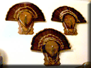 turkeytriple.jpg (26863 bytes)